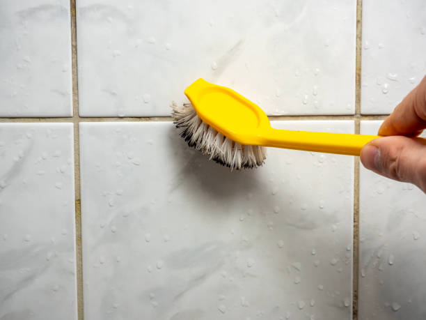Best Affordable Mold Removal  in Neenah, WI