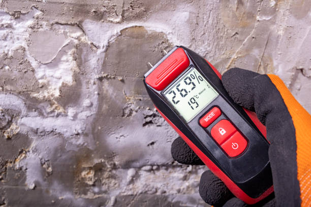 Best Mold Testing  in Neenah, WI