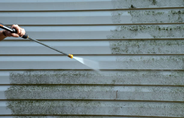 Best Residential Mold Removal  in Neenah, WI