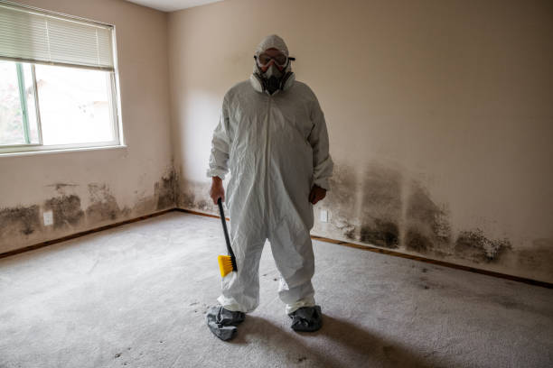 Best Local Mold Removal Service  in Neenah, WI